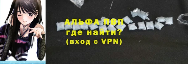 индика Вязьма